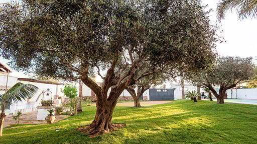 Casa Marsala 2 Garden