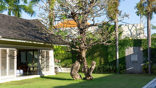 Casa Mateo Garden