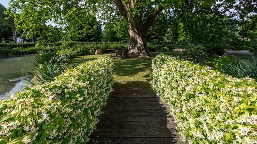Villa Casa Matteucci Garden