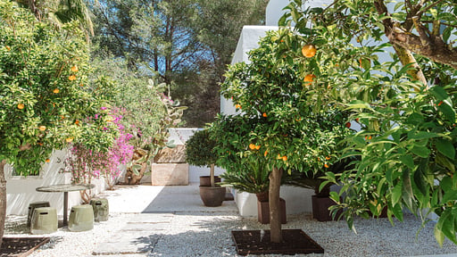 Casa Rios Others