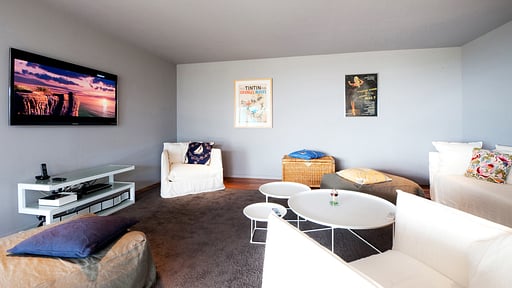 Casa Tigre Media room