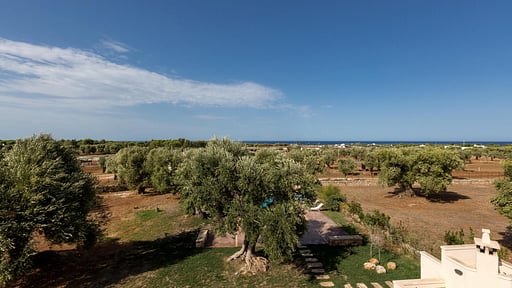 Casale Cimino House Alentours