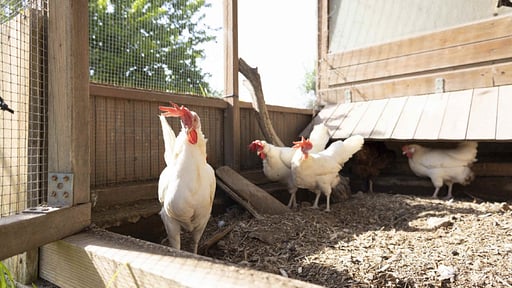 Casale della Pergola Others