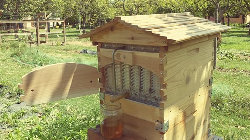 Casale della Pergola Others