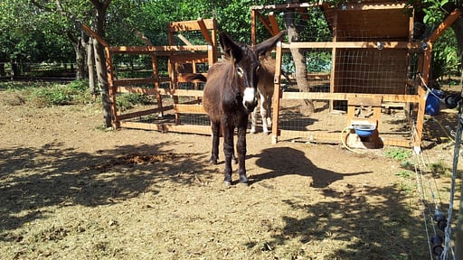 Casale della Pergola Others