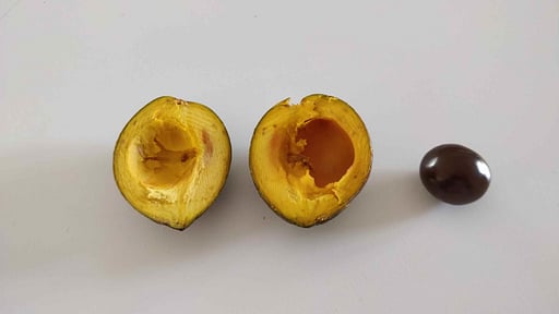 Casale della Pergola Others