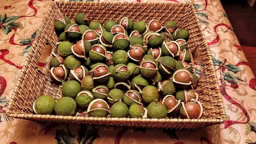 Casale della Pergola Others