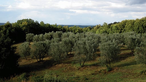 Casale Il Gabbro Others