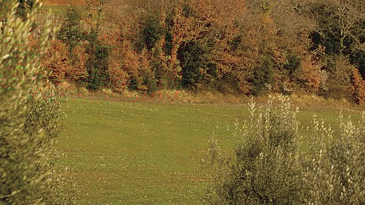 Casale la Casa Andere