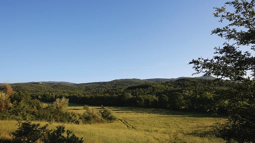 Casale San Damiano Others