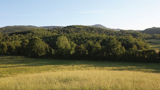 Casale San Damiano Others