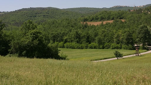 Casale San Damiano Others