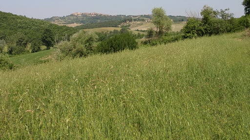 Casale San Damiano Others