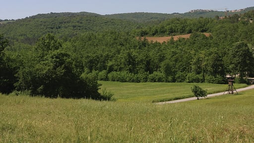 Casale San Damiano Others