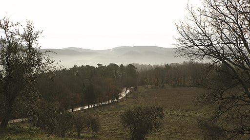 Casale San Regolo Others