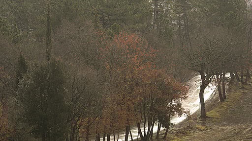 Casale San Regolo Others