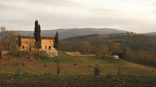 Casale San Regolo Others