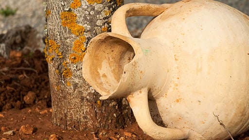 Villa Caseta Son Morro Andere