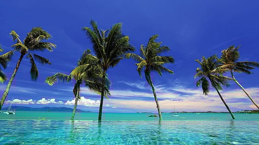 Celes Beachfront Pool Suite Swimming pool 