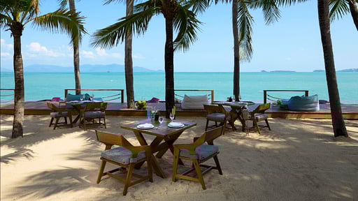 Celes Tropical Suite Others 