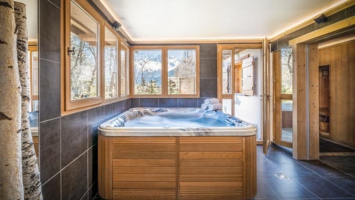 Chalet Le 1992 Andere