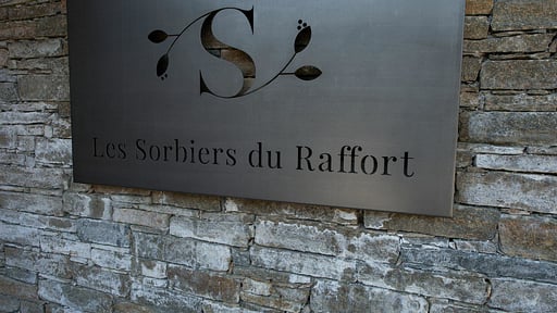 Chalet Les Sorbiers Andere 