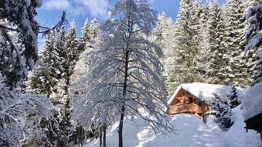 Charlotte Retreat Alentours