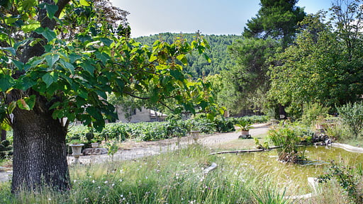 Chateau De L'Ange Others