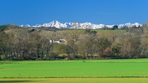 Chateau Des Cathares Others