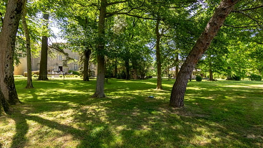 Chateau Des Cathares Others