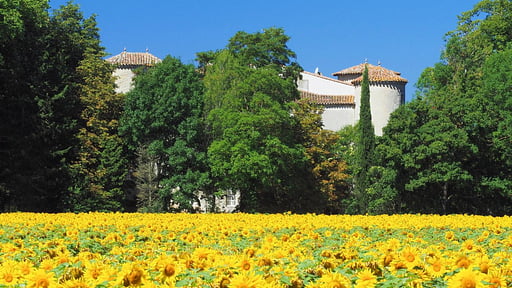 Chateau Des Cathares Garden
