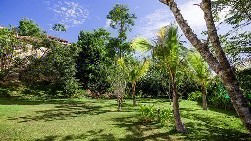 Cinnamon House Garden