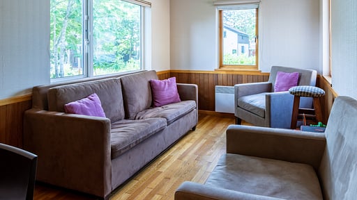 Cisco Moon Chalet Living room 3