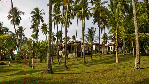 Claughton House Garden