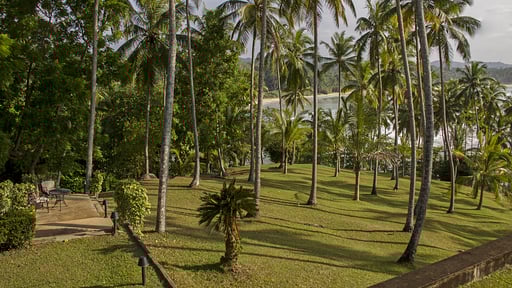 Claughton House Garden