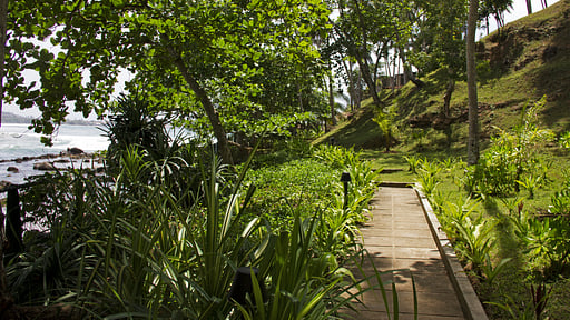Claughton House Garden
