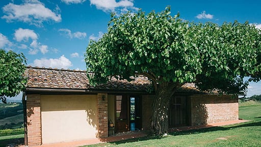 Coiano Apartment Garden