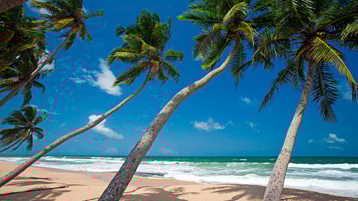 Colonial Mansion Autres