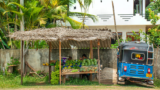 Contemporary Villa Surroundings