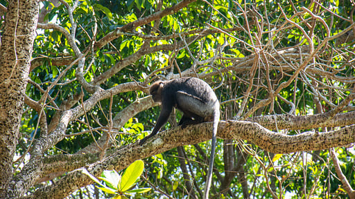 Contemporary Villa Surroundings