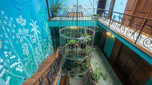 Dendrobium House Others