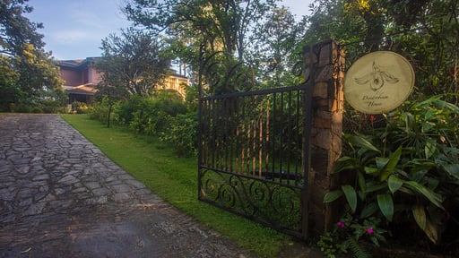 Dendrobium House Others 