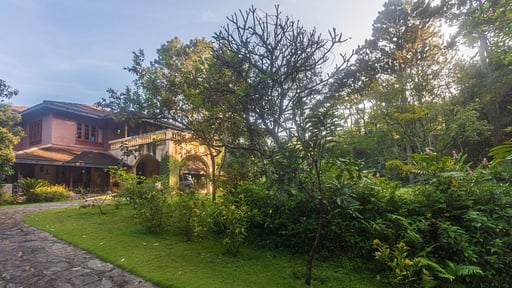 Dendrobium House Others 