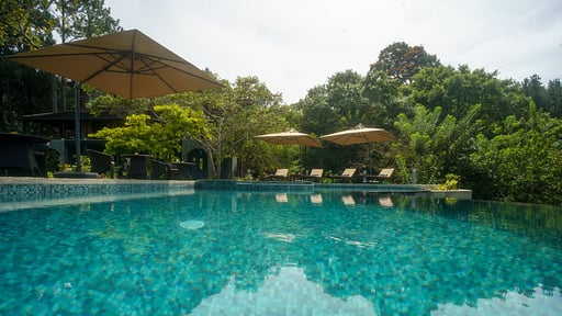 Dendrobium House Swimming pool