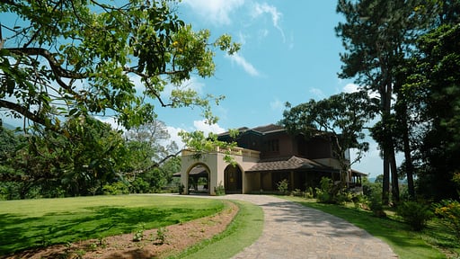 Dendrobium House Others 