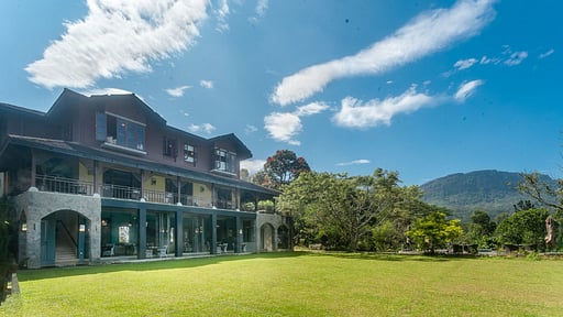 Dendrobium House Others 