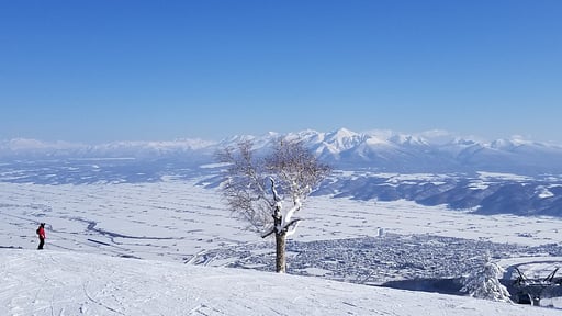 Donguri House Surroundings