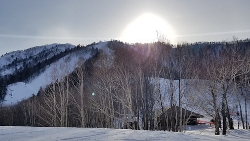 Donguri House Surroundings