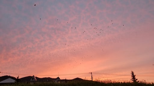 Donguri House Surroundings