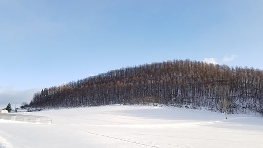 Donguri House Surroundings